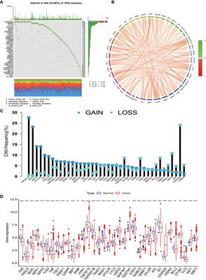 Identification of molecular subtypes, risk signature, and immune landscape mediated by necroptosis-related genes in non-small cell lung cancer